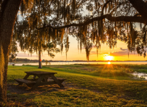 Casas à Venda em Minneola
