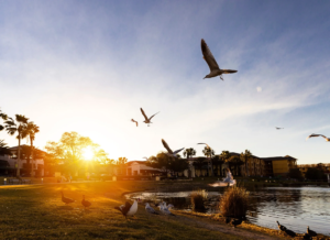 Casas à Venda em Winter Park