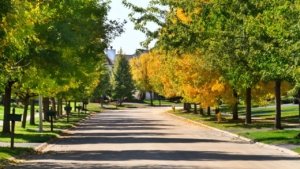 Melhores bairros de Orlando